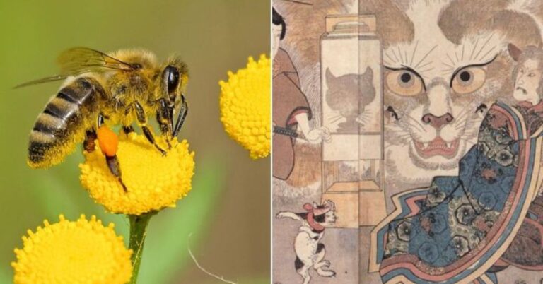 5 Weird but Delightful Ancient Beliefs From Around the World